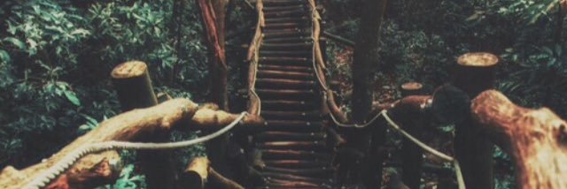 KellySwiderski's profile banner image
