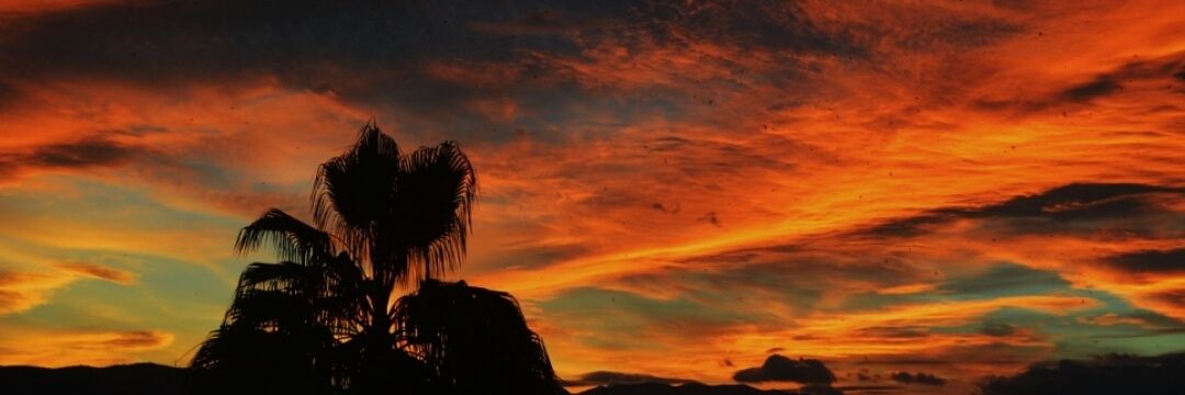 Ser_Gio97's profile banner image
