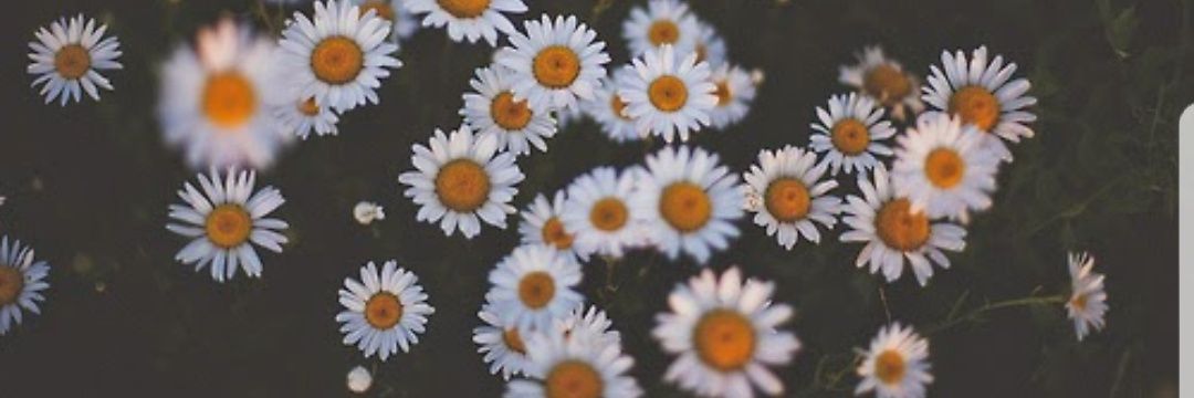 JennyFerMonar's profile banner image