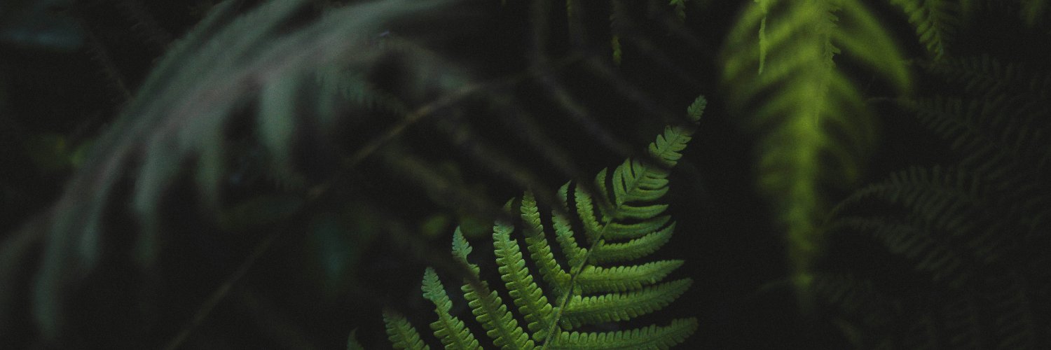 JakeKokot's profile banner image