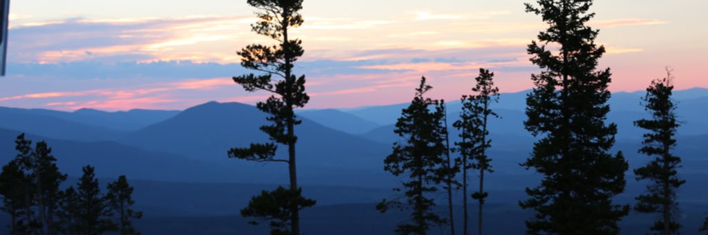 Meggo335's profile banner image