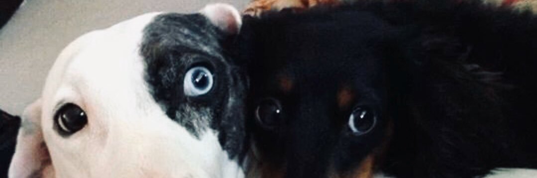 jeanane85's profile banner image