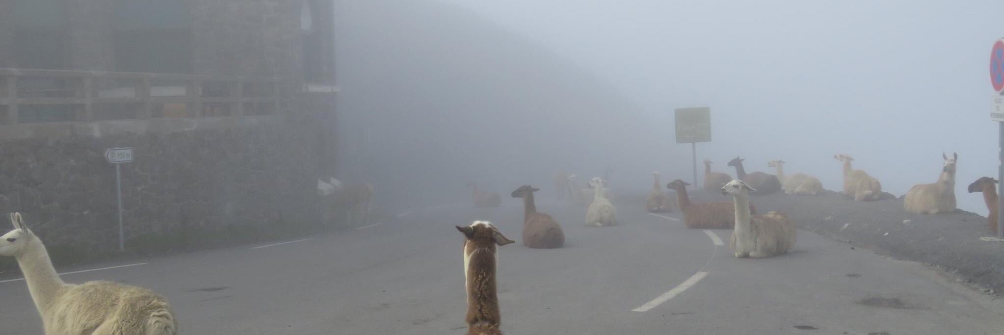 techronic9876 banner