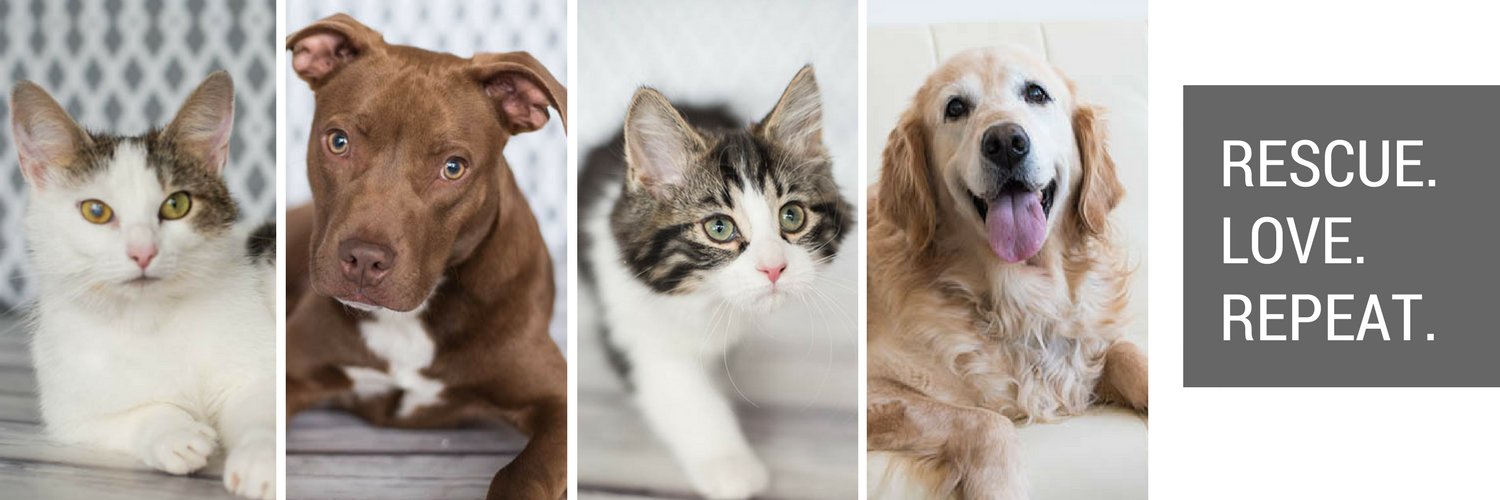 PetPromise's profile banner image