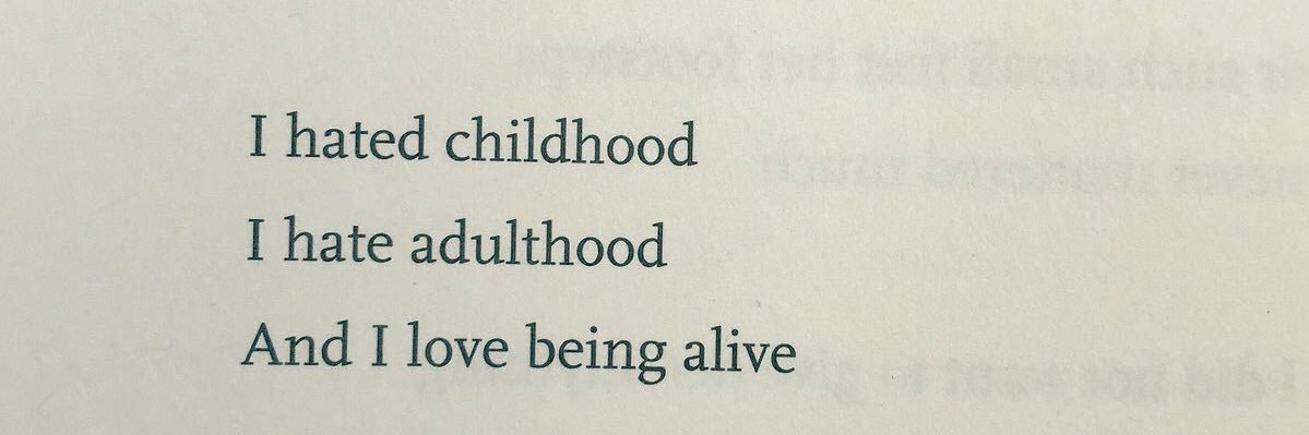 slam dance tarantula banner