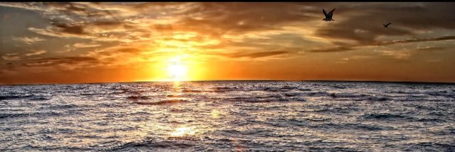 ant_crisanto's profile banner image