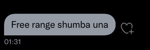 ShumbaBaby's profile banner image