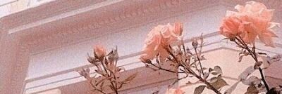 gustokogpan's profile banner image