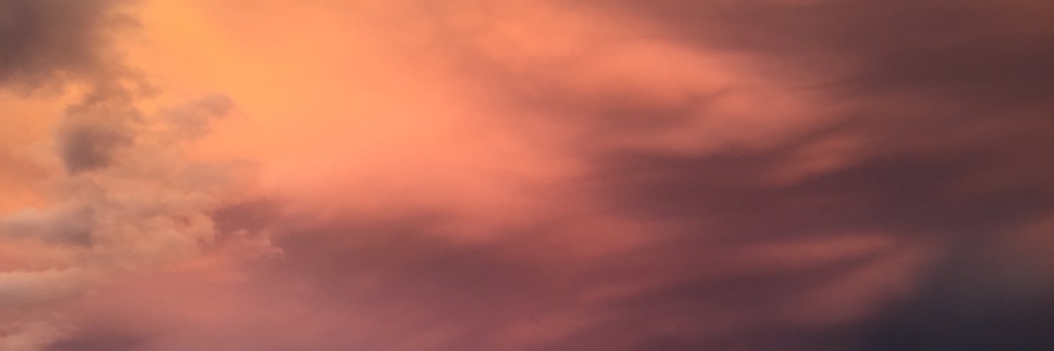 megansara28's profile banner image