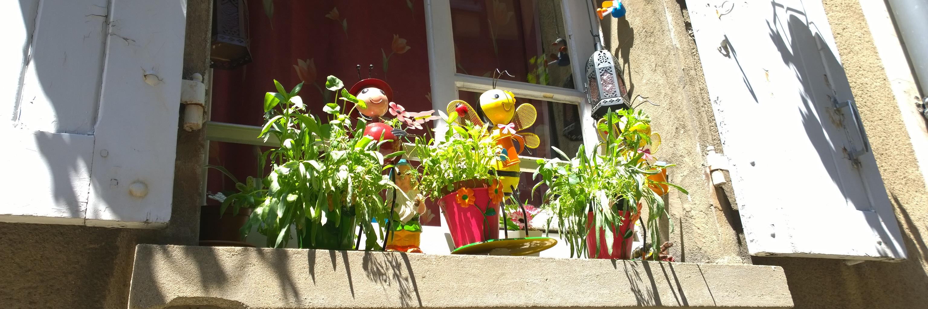 bjorn van waas banner