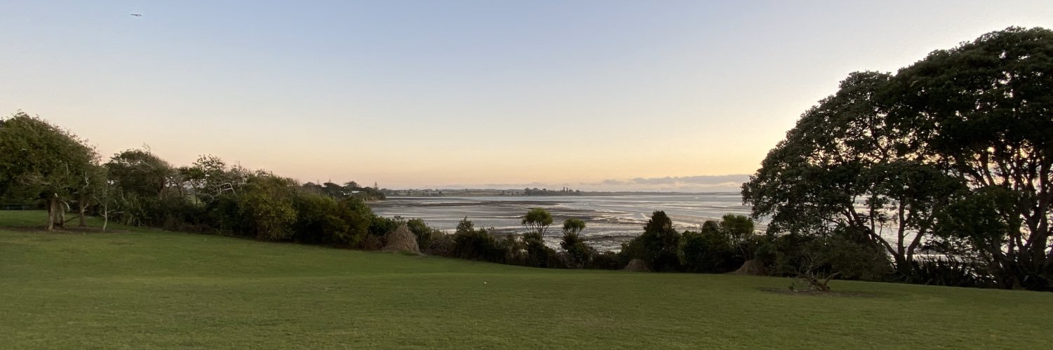 Teaki Heimuli banner