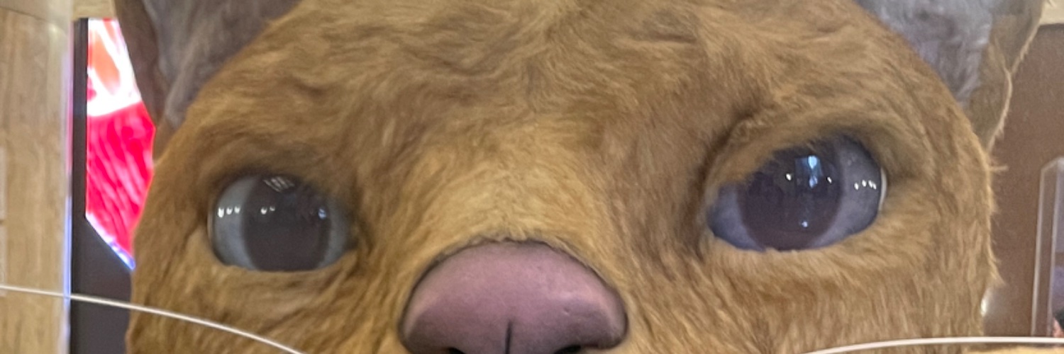 citrin4_'s profile banner image