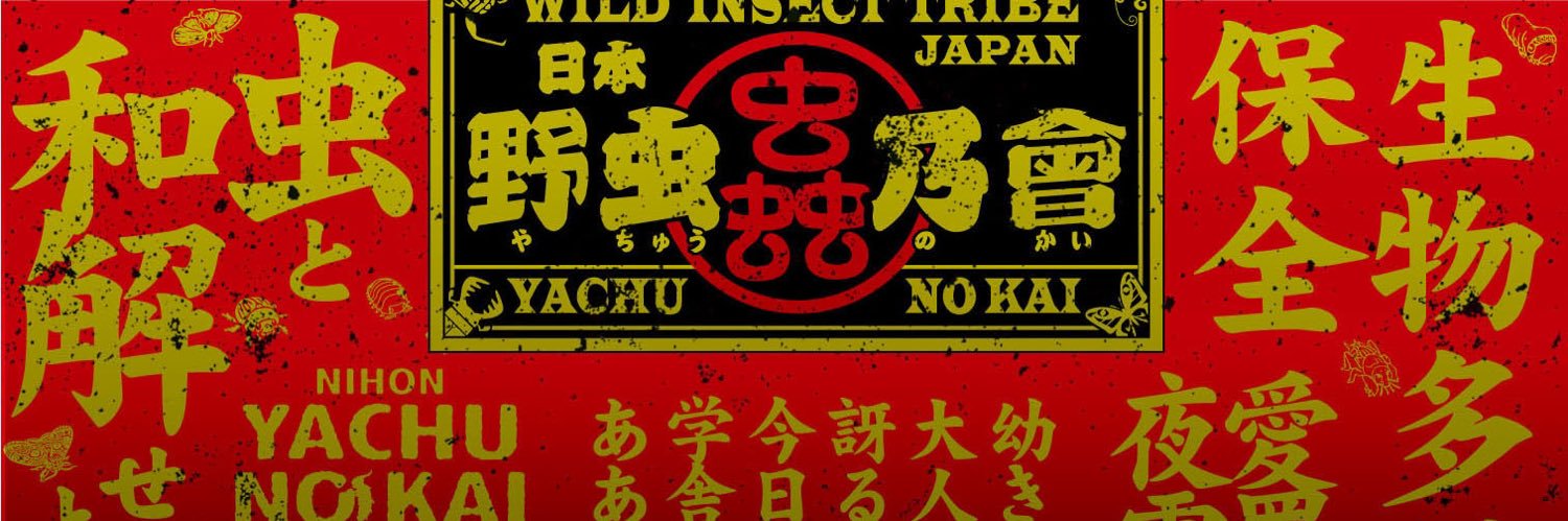 日本野虫の会 とよさきかんじ's banner
