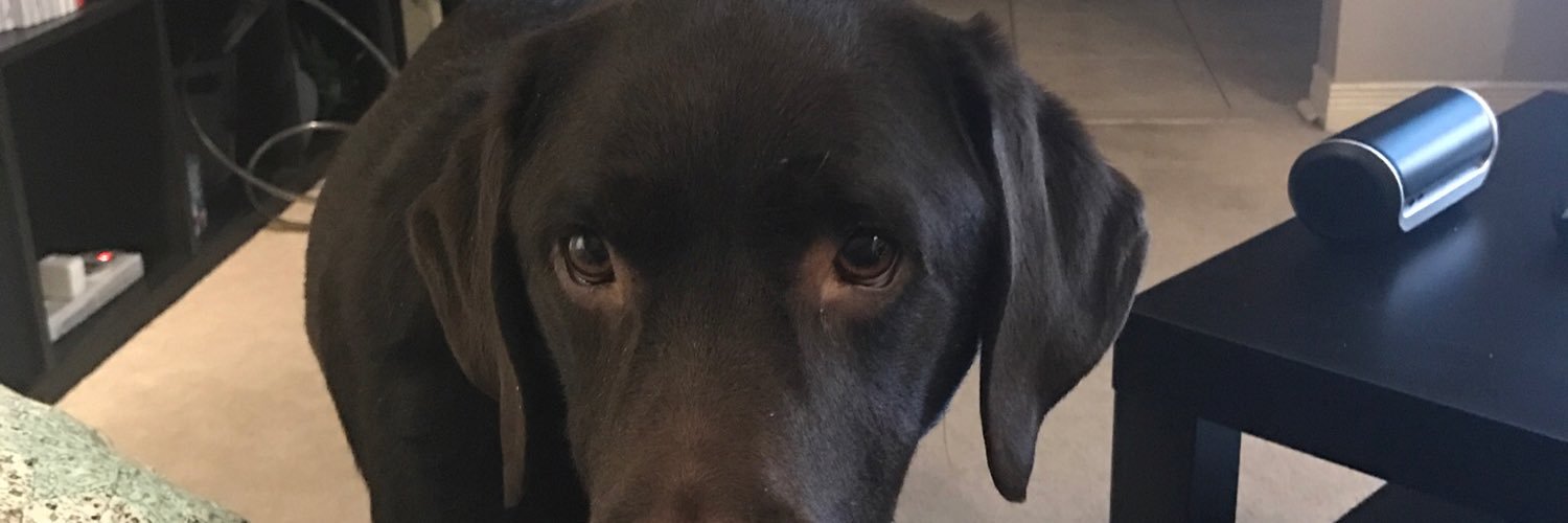 HobbesPaw's profile banner image