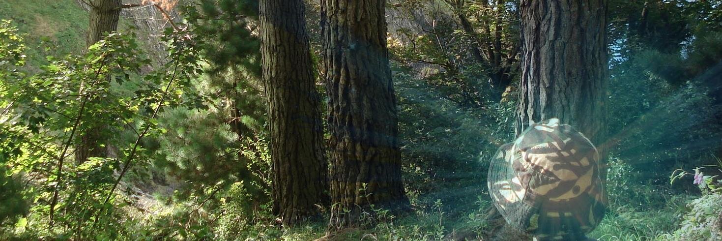 ulearnuk's profile banner image