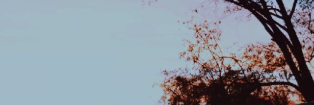 margaryyna's profile banner image