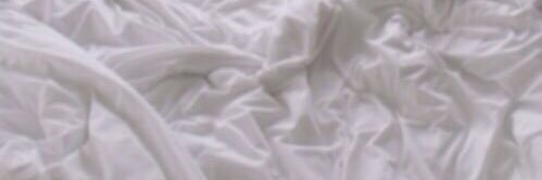 Siera johnson banner