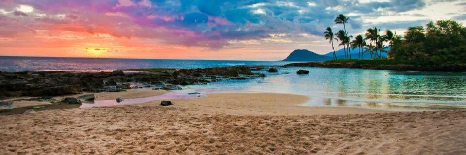 Tiff_Mango's profile banner image