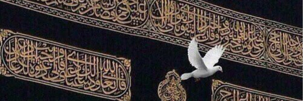 AbdulelahTurk's profile banner image