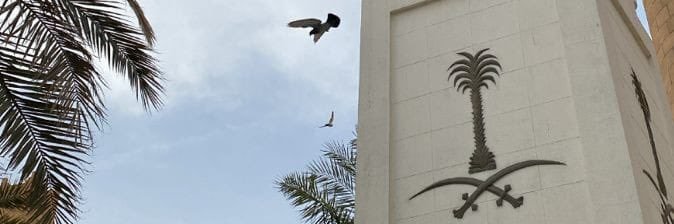 وظائف | عمل عن بعد #نساء_فقط banner