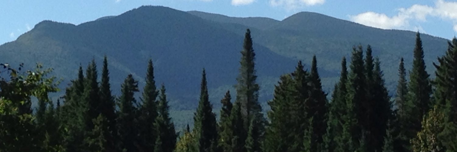chamberlaingirl's profile banner image