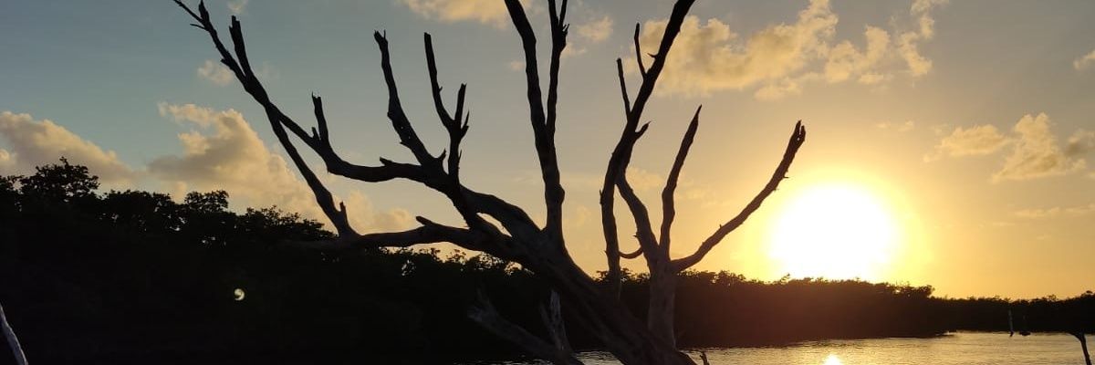 dimeenaay's profile banner image
