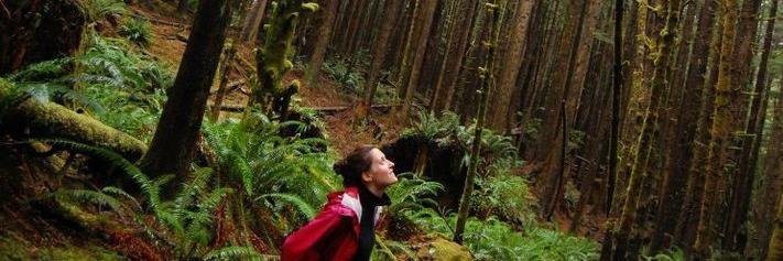 natcampbell's profile banner image