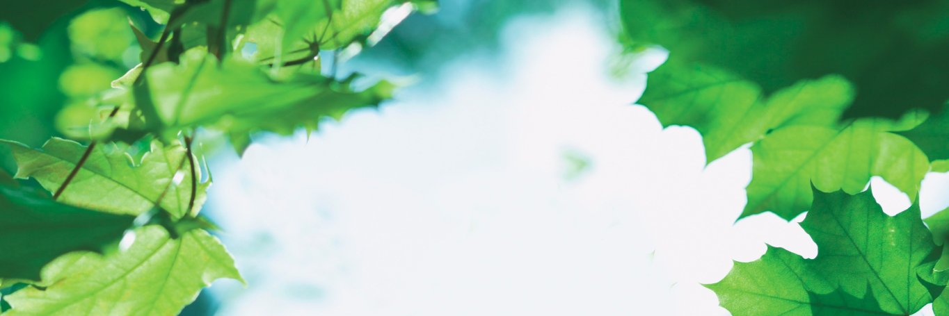 eivindhoff's profile banner image