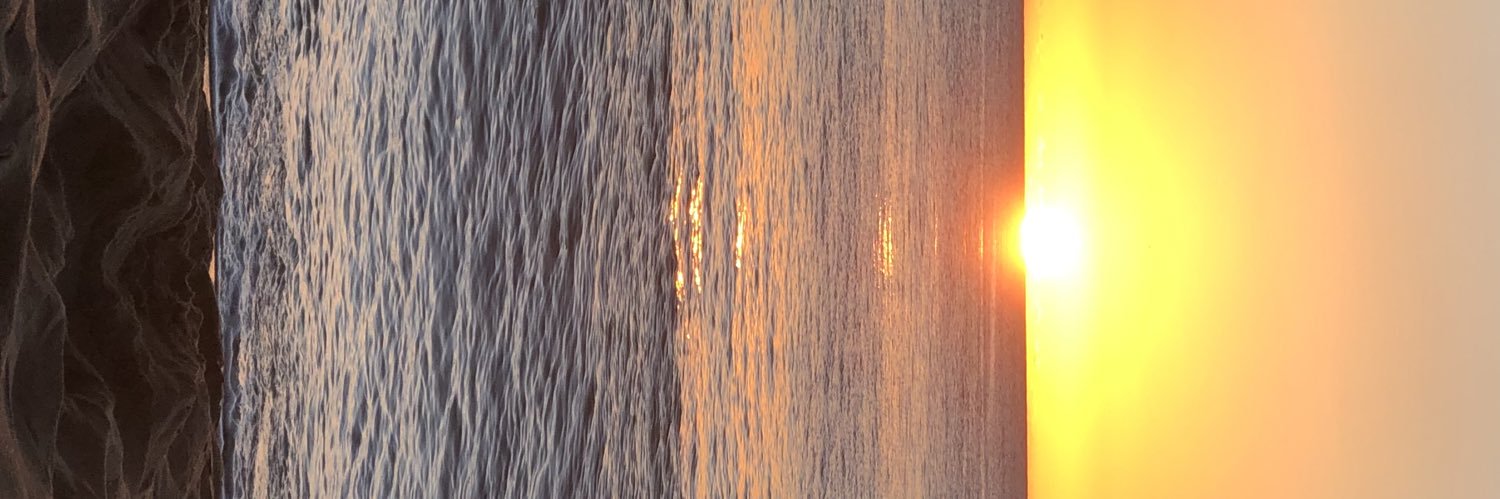 dlion14's profile banner image
