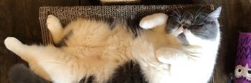 is_vvvvv's profile banner image