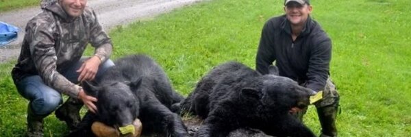 kurtciri Profile Banner