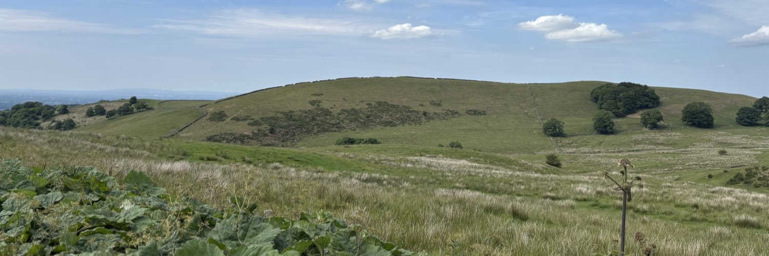 Leary banner