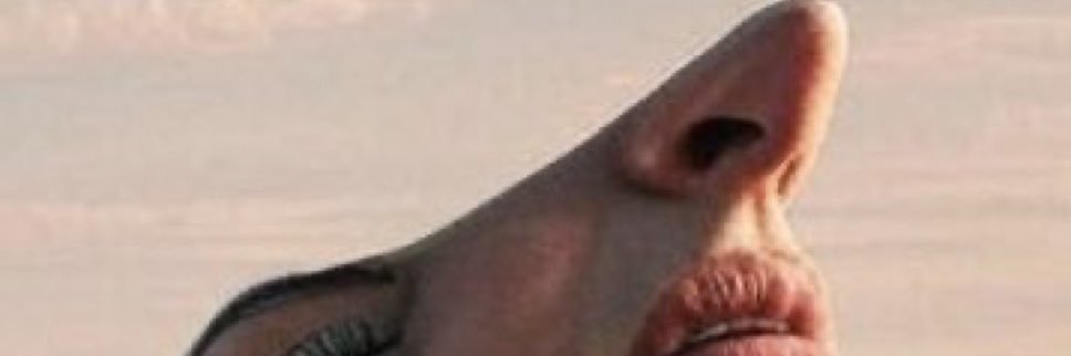 carinavontoler's profile banner image