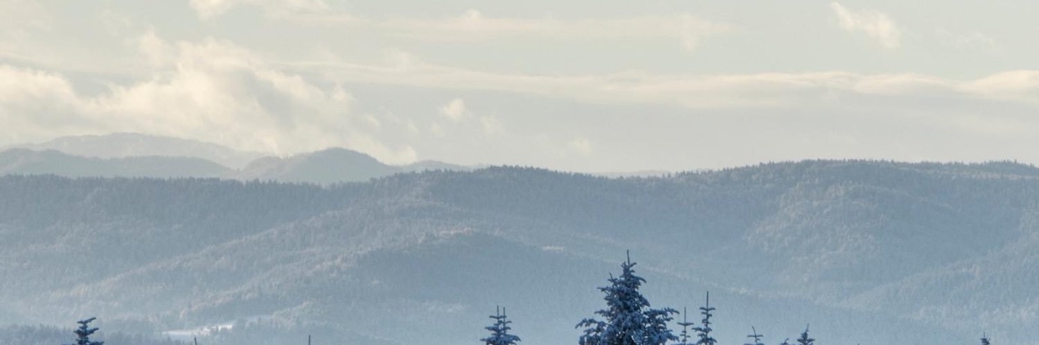 jentyleblue's profile banner image