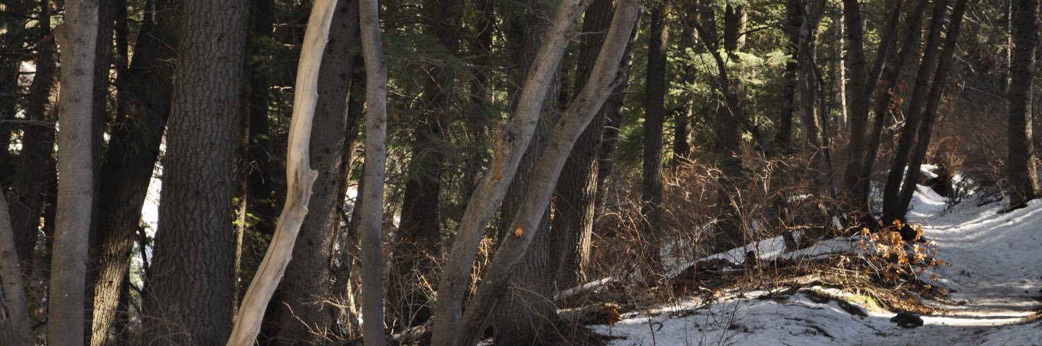 BeitzelB's profile banner image