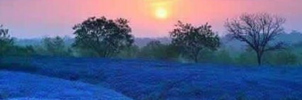 Prissytxn's profile banner image