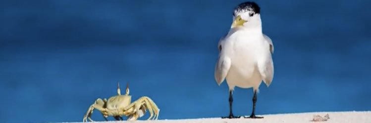 10Whale's profile banner image