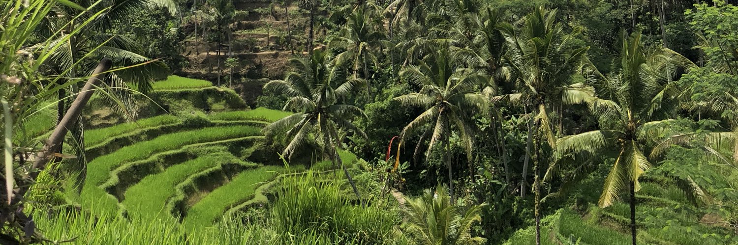 arinaag's profile banner image