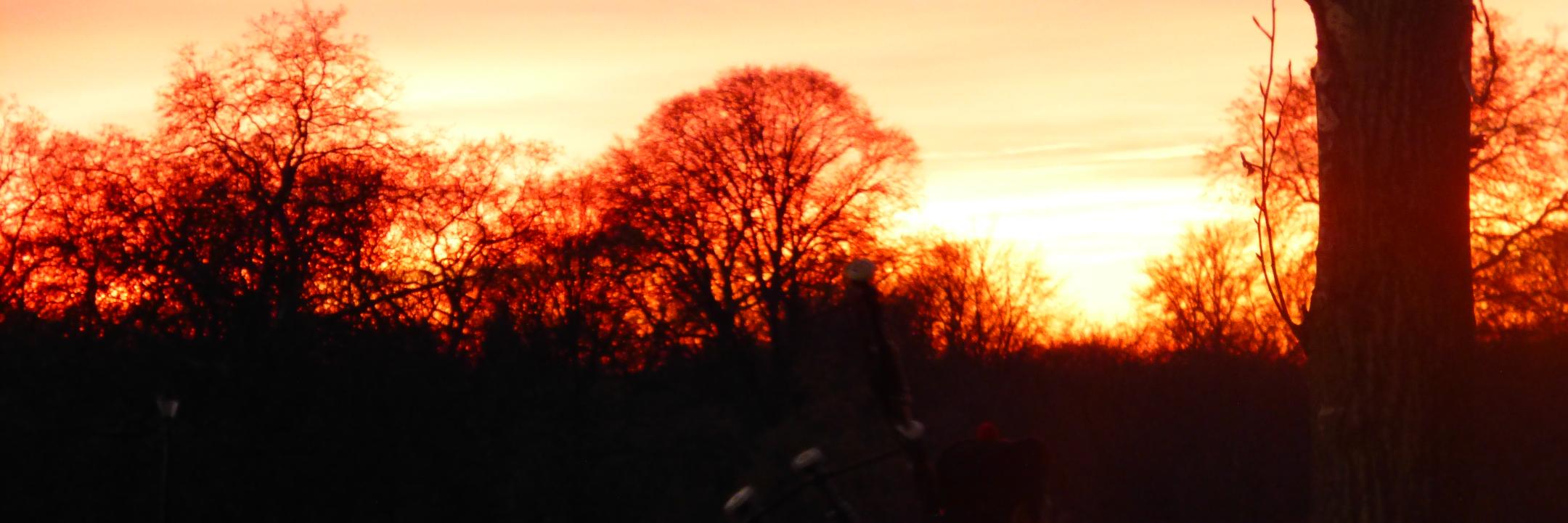 selmagomes's profile banner image