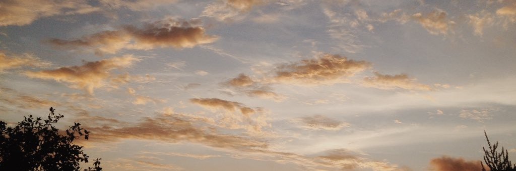 _ithaa19's profile banner image