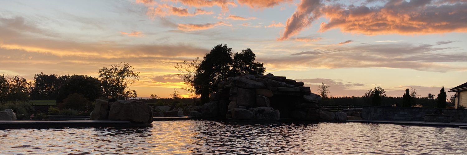 Steven Bailey banner