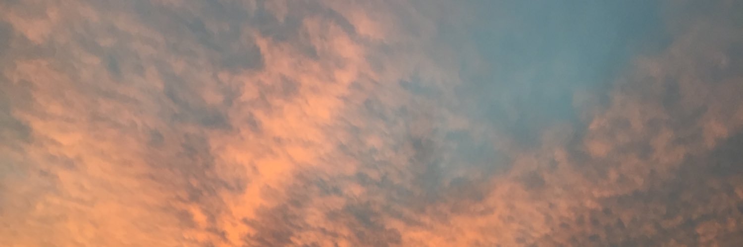 be as you wish to seem banner