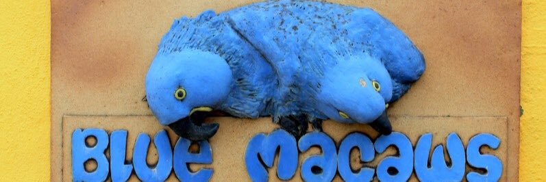 bluemacaws's profile banner image