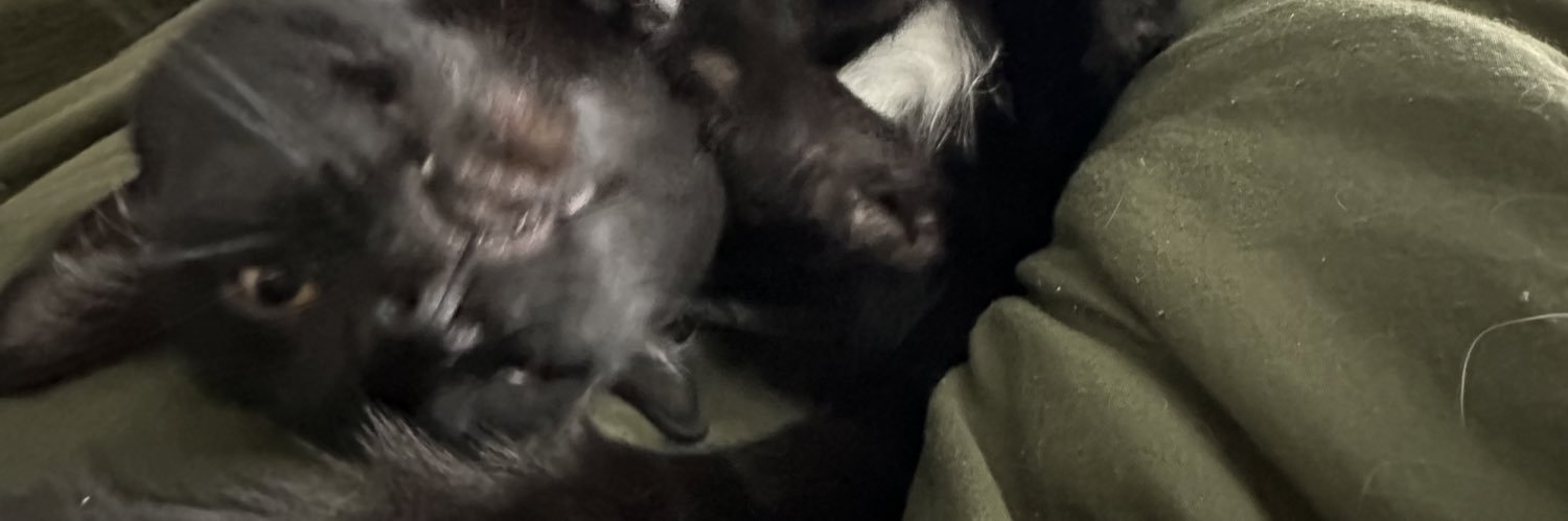 sirgoodburger's profile banner image