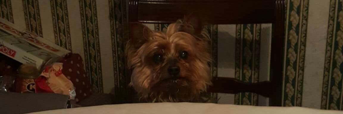 Michael Price banner