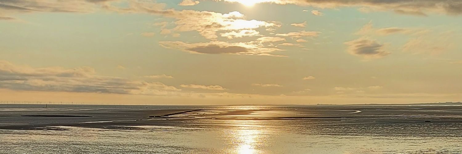 dizzychicc's profile banner image