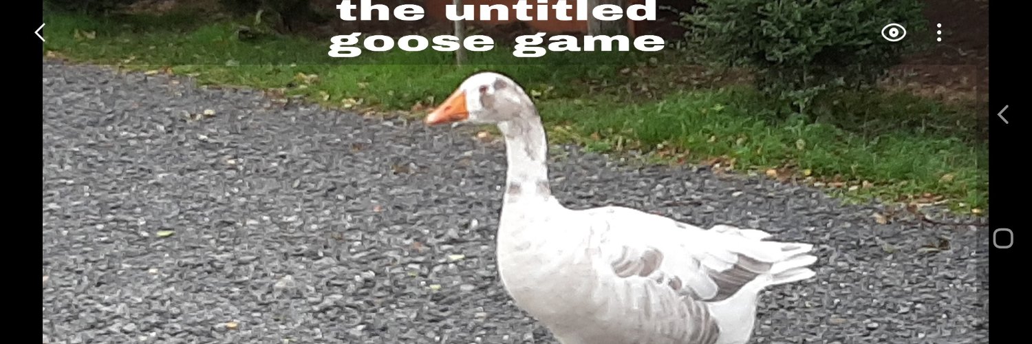 salbemerson's profile banner image