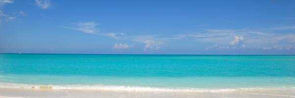 Randy Sharman banner