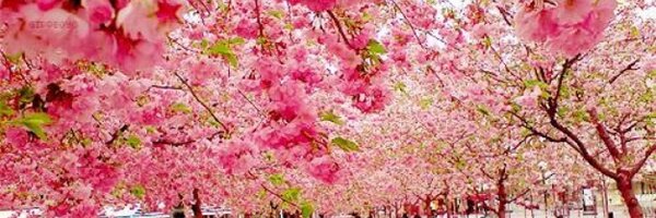 Khendy13 Profile Banner