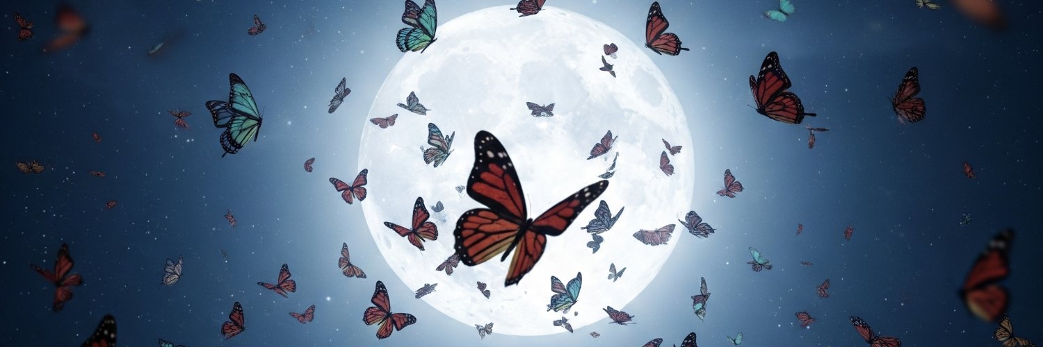 Nakshatra_Soul's profile banner image